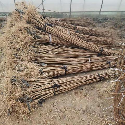 创意花瓶制作工艺