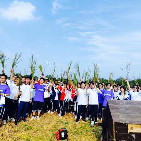 弘扬农耕文化  致力乡村振兴