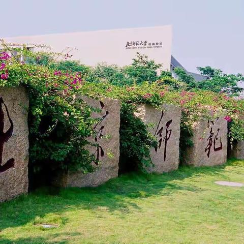 不忘初心 砥砺前行，一2021年广东省“新强师工程”中小学生舞蹈骨干教师示范培训学习纪实