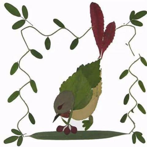 蓝天圣雅幼儿园创意树叶画活动开始啦