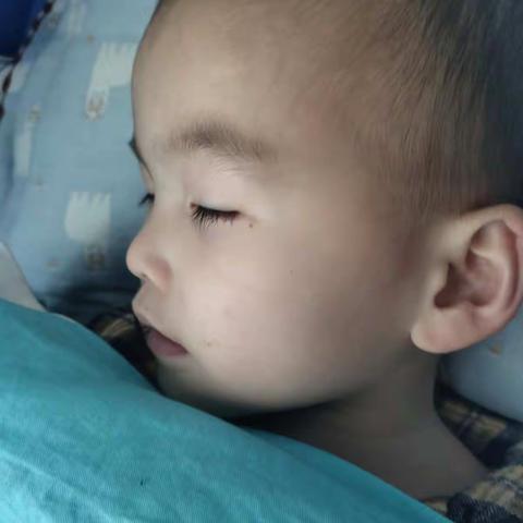 午睡时间到！😴