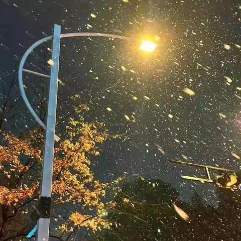 【原创】《七言》初冬夜雨落无声 冷凉之风现寒雪