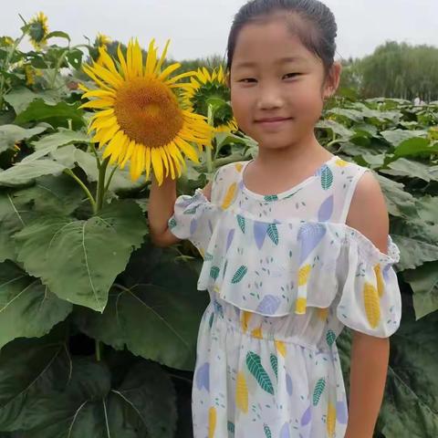 2019级4班   作文报