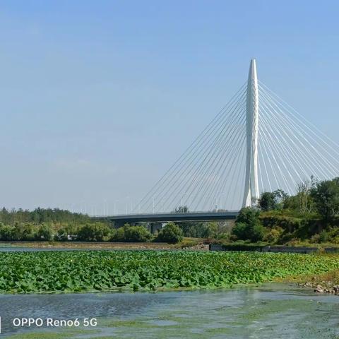 国庆节前游湿地 水库