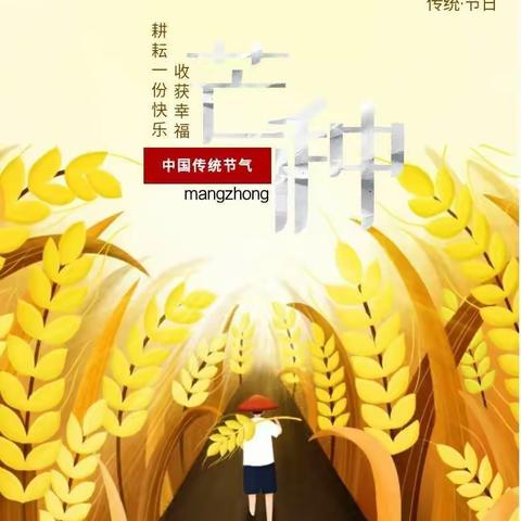 忙而不茫，播种希望，淮阴实验小学幼儿园淮阴小学分园中二班