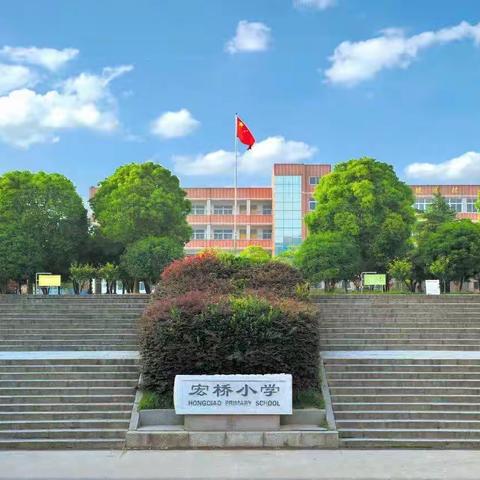 向阳而生•追光不止｜宏桥小学跟岗学习心得