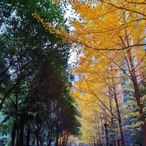 书香铁路·共克时艰