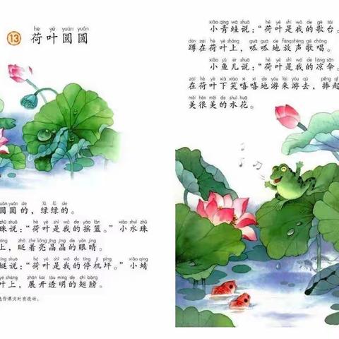 我是小作家 ——《荷叶圆圆》