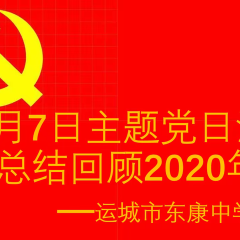 总结回顾2020年主题党日活动