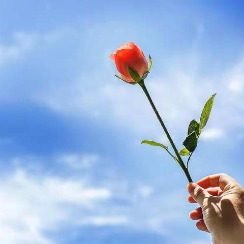 2019年1月16日胖东来生活广场干副食品课交流沟通会