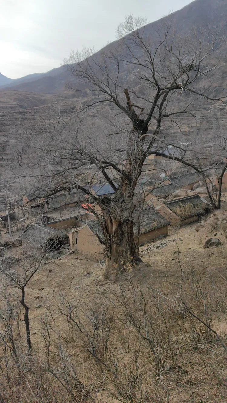 探秘蔚县阁上老村