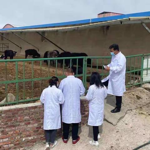 黄南州农产品质量安全检验检测中心开展养殖环节 “瘦肉精”专项检测工作