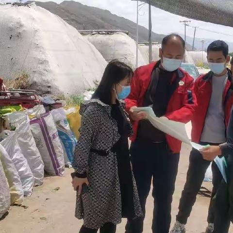 黄南州农检中心开展疫情期间保供农产品质量安全检查专项行动
