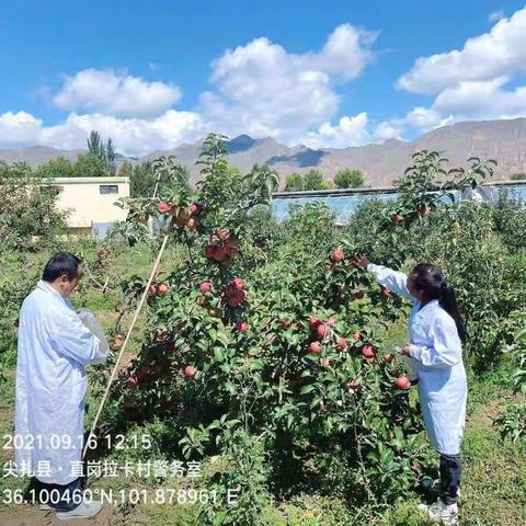 黄南州农检中心开展“两节”期间农产品质量安全专项抽检工作