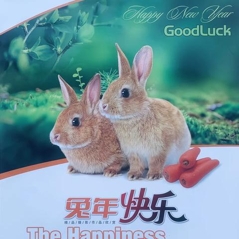 如何消除水印？222.12.31   14:50