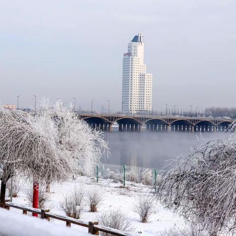 吉林市家乡的雾凇2022.12.27