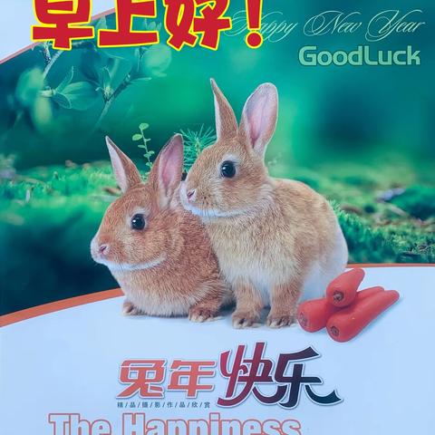 苹果手机编辑视频2023.1.1   3:28