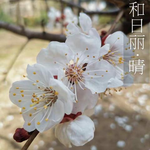 隔空不隔爱  线上共成长——邓家庄小学六年级三班停课不停学之线上教学篇