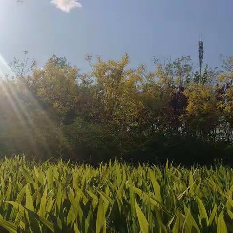 翻越是为了更好的风景—唐山东方国际学校第一次月考（八年级篇）