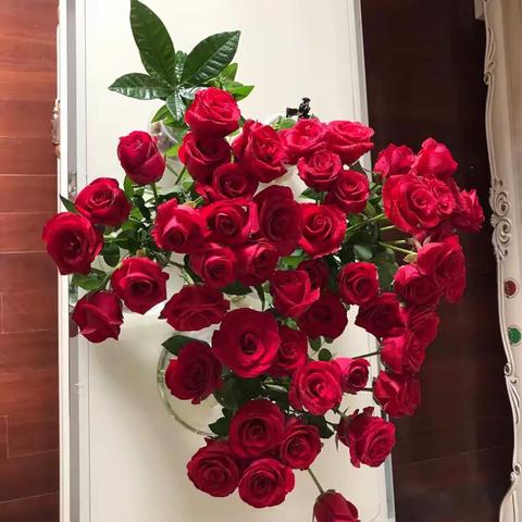 生日快乐♪٩(´ω`)و♪生日快乐🤓