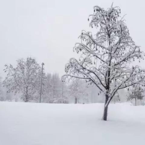 2021年立冬初雪❄️