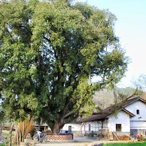 春耕始，万物生。满园绿，笑春风。