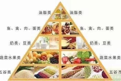 绿树幼儿园家委会暨伙食委员会品餐邀请函