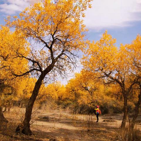 【影像1618】第9期