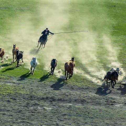 【影像1618】第5期