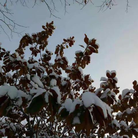 齐动手  除冰雪  保平安