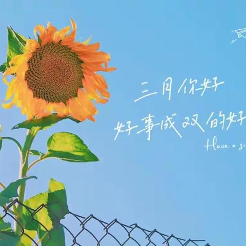 三门峡新时代精英学校一（1）班第四周周报