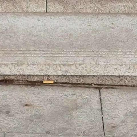 2月16日公共安全、环境卫生巡查问题及整改