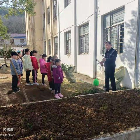 丫山完小植树节活动