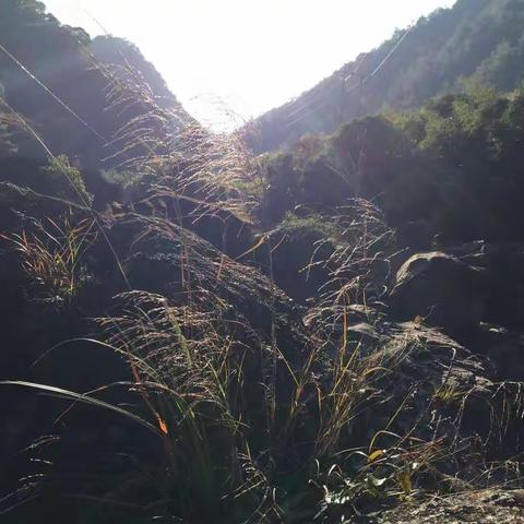 住龙一个可能会让你偶遇cctv的地方