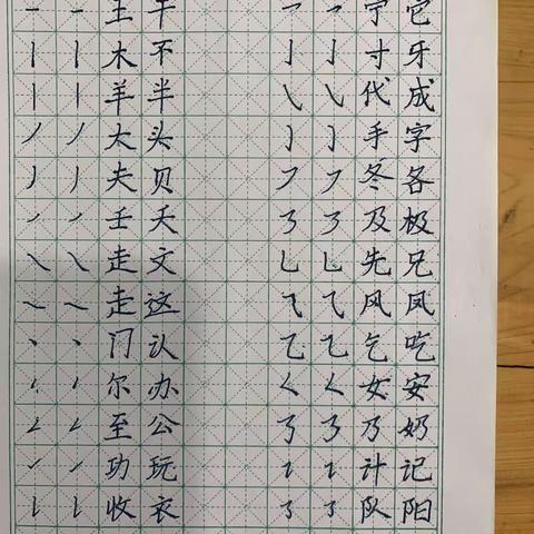 书法5班作业