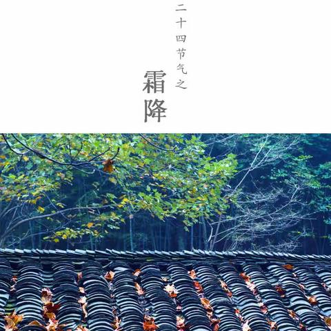 二十四节气之霜降