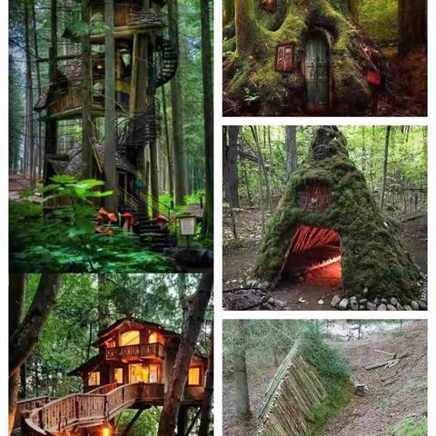 周末亲子树屋营