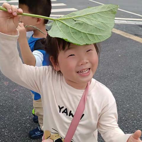 森林课-五行-初识五行-土