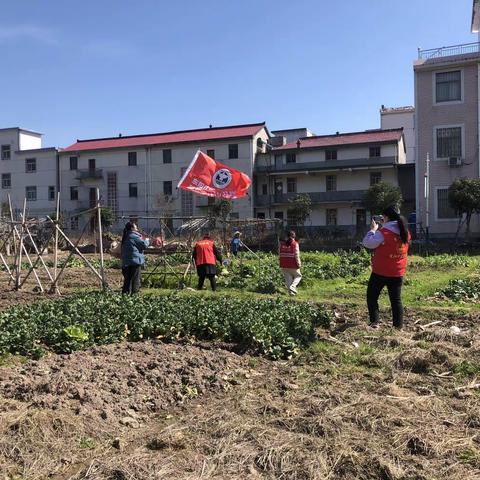 禁种铲毒踏查