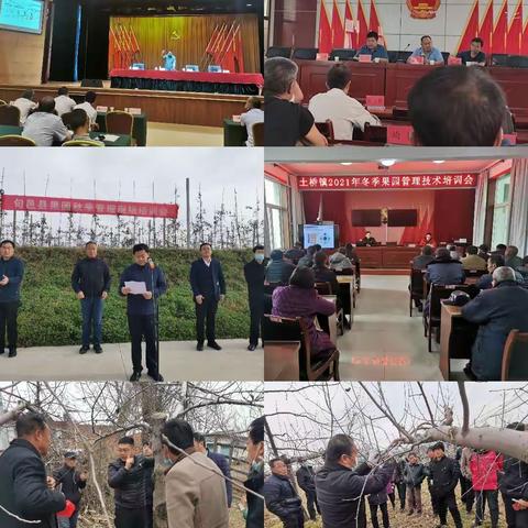 内强品质 外塑品牌—旬邑县果业服务中心多措并举 推动旬邑苹果产业高质量发展
