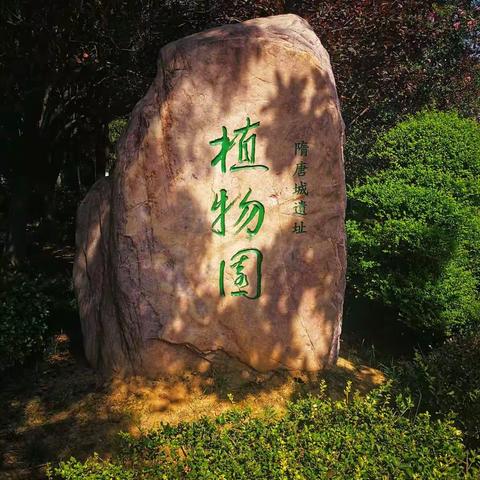 洛阳隋唐植物园