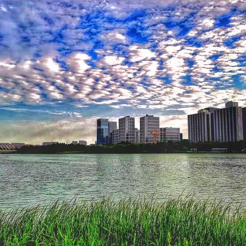 郑州龙子湖风景