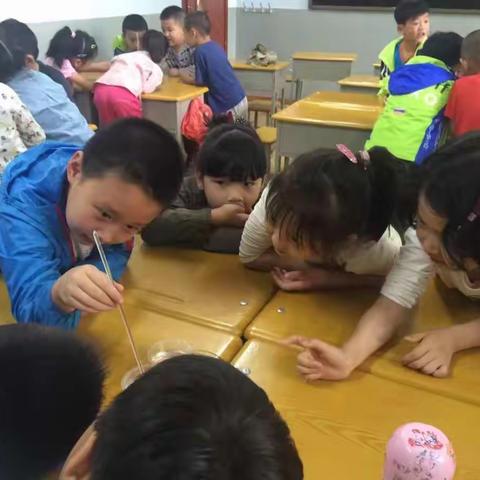 【新道街小学国师街校区】多元活力课程，缤纷校园生活