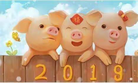 回忆过往，开启2019，生日快乐！猪年顺意！