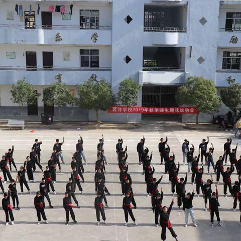 无运动，不青春！茗洋学校举行2019年秋季趣味运动会