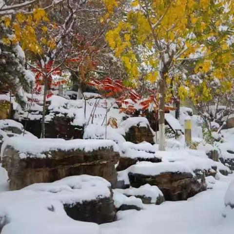 难忘家乡飘雪的日子