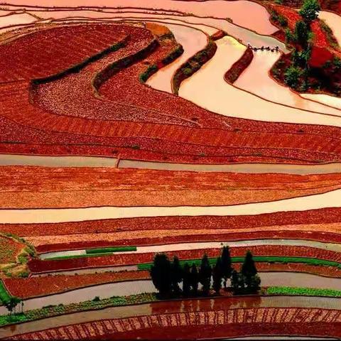色彩绚丽斑斓的红土地 （ 谭笑tt摄影作品）A