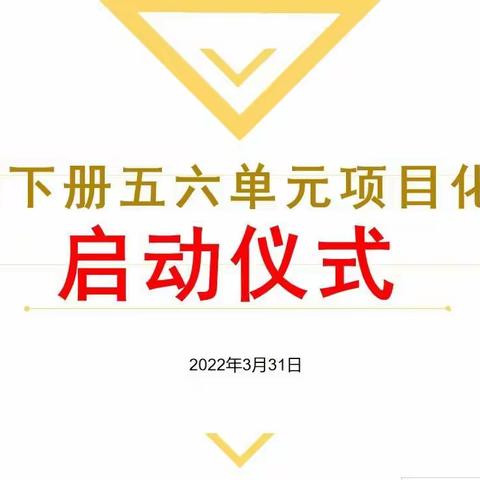 凝心聚力促提升，奋勇扬帆再启航——四下五六单元项目启动仪式