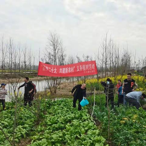 喜迎二十大，建设新农村。