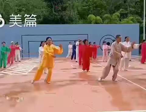 杨氏太极拳85式南充培训通知